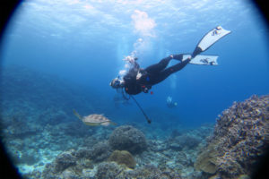 沖縄　ダイビング　慶良間　体験ダイビング　FUNダイビング　自社船