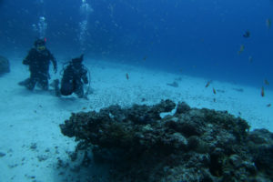 沖縄　慶良間　慶良間諸島　ファンダイビング　ボートダイビング