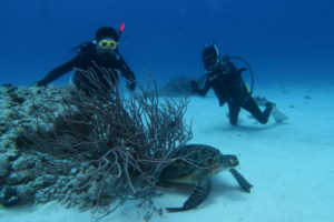 沖縄　慶良間　慶良間諸島　ファンダイビング　ボートダイビング