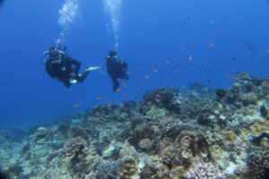 沖縄　ダイビング　慶良間　FUNダイビング　自社船