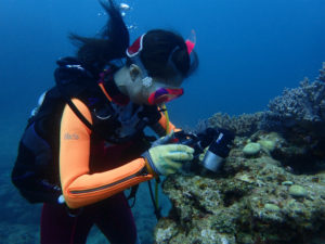 沖縄　ダイビング　砂辺　FUNダイビング