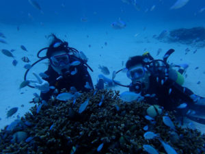 沖縄　慶良間　慶良間諸島　体験ダイビング　ボートダイビング