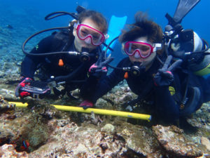 沖縄　ダイビング　慶良間　体験ダイビング　FUNダイビング　自社船