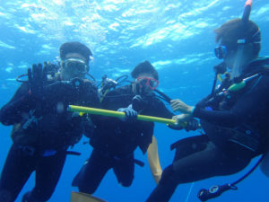 沖縄　ダイビング　慶良間　体験ダイビング　FUNダイビング　自社船