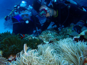 沖縄　慶良間　慶良間諸島　ファンダイビング　ボートダイビング　体験ダイビング