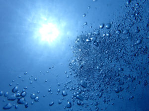 沖縄　慶良間　慶良間諸島　ファンダイビング　ボートダイビング　体験ダイビング