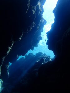 沖縄　ダイビング　慶良間　体験ダイビング　自社船