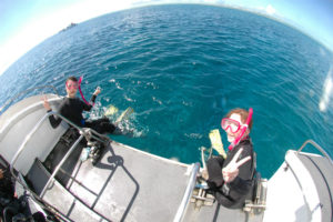 沖縄　慶良間　慶良間諸島　自社船　ファンダイビング　ダイビング　自社船　体験ダイビング