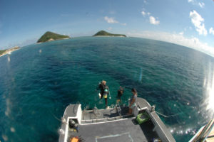 沖縄　慶良間　慶良間諸島　ダイビング　ボートダイビング　ファンダイビング　体験ダイビング　自社船　