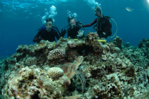 沖縄　慶良間　慶良間諸島　ダイビング　ボートダイビング　ファンダイビング　体験ダイビング　自社船　