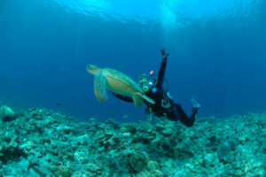 沖縄　慶良間　慶良間諸島　ダイビング　ボートダイビング　ファンダイビング　自社船　AOW　PADI講習