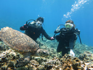 沖縄　慶良間　慶良間諸島　自社船　ファンダイビング　ボートダイビング　ダイビング　自社船　体験ダイビング