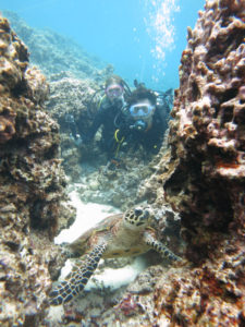 沖縄　ダイビング　慶良間　体験ダイビング　ダイビング　ボートダイビング　自社船