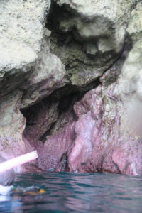 沖縄　読谷村　残波　ダイビング　ボートダイビング