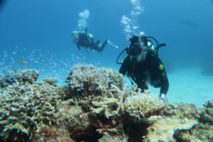 沖縄　慶良間　慶良間諸島　ダイビング　ボートダイビング　ファンダイビング　体験ダイビング　自社船　