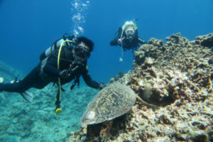 沖縄　慶良間　慶良間諸島　ダイビング　ボートダイビング　ファンダイビング　体験ダイビング　自社船　