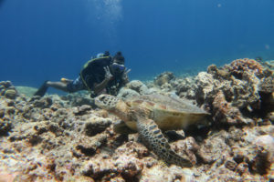 沖縄　慶良間　慶良間諸島　ダイビング　ボートダイビング　ファンダイビング　自社船