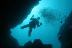 沖縄　読谷村　残波　残波岬　ボートダイビング　ファンダイビング　ダイビング　自社船