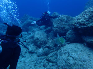 沖縄　読谷村　残波　ダイビング　ボートダイビング