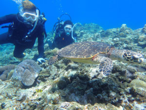 沖縄　慶良間　慶良間諸島　自社船　ファンダイビング　ボートダイビング　ダイビング　自社船　体験ダイビング