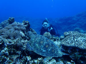 沖縄　慶良間　慶良間諸島　自社船　ファンダイビング　ボートダイビング　ダイビング　自社船