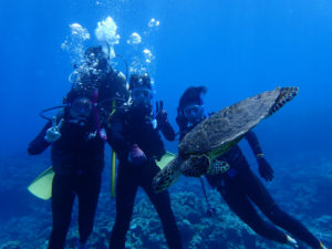 沖縄　慶良間　慶良間諸島　自社船　ファンダイビング　ボートダイビング　ダイビング　自社船　体験ダイビング