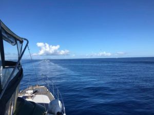 沖縄　慶良間　慶良間諸島　ダイビング　ボートダイビング　ファンダイビング　自社船　