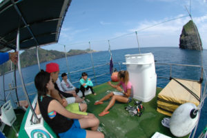 沖縄　慶良間　慶良間諸島　ダイビング　ボートダイビング　ファンダイビング　自社船　体験ダイビング