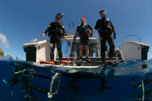 沖縄　慶良間　慶良間諸島　ダイビング　ボートダイビング　ファンダイビング　自社船　