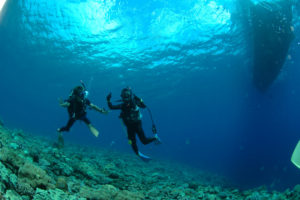 沖縄 慶良間 慶良間諸島 ダイビング ボートダイビング ファンダイビング 自社船 体験ダイビング