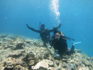 沖縄　慶良間　慶良間諸島　ダイビング　ボートダイビング　ファンダイビング　自社船　体験ダイビング