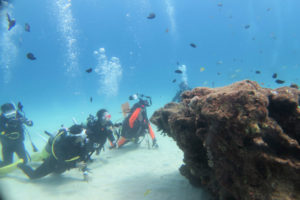 沖縄 恩納村 万座 瀬良垣 ファンダイビング ダイビング ボートダイビング