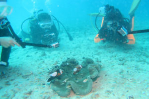 沖縄 恩納村 万座 瀬良垣 ファンダイビング ダイビング ボートダイビング