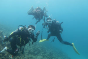 沖縄 恩納村 万座 瀬良垣 ファンダイビング ダイビング ボートダイビング