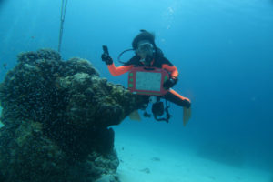 沖縄　慶良間　慶良間諸島　ダイビング　ボートダイビング　ファンダイビング　自社船