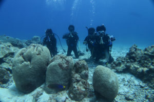 沖縄　慶良間　慶良間諸島　ダイビング　ボートダイビング　ファンダイビング　自社船