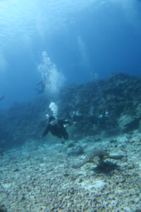 沖縄　慶良間　慶良間諸島　ダイビング　ボートダイビング　ファンダイビング　自社船　