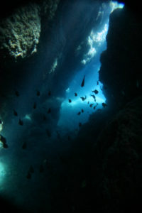 沖縄　慶良間　慶良間諸島　ダイビング　ボートダイビング　ファンダイビング　自社船　