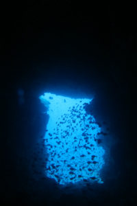 沖縄 恩納村 万座 瀬良垣 ダイビング ファンダイビング ボートダイビング