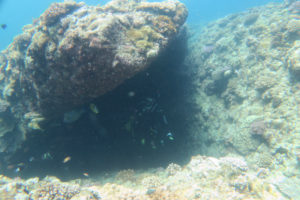 沖縄 恩納村 万座 瀬良垣 ダイビング ファンダイビング ボートダイビング