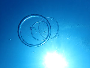 沖縄　慶良間　慶良間諸島　ダイビング　ボートダイビング　ファンダイビング　自社船　体験ダイビング