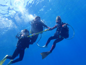 沖縄　慶良間　慶良間諸島　ダイビング　ボートダイビング　ファンダイビング　自社船　体験ダイビング