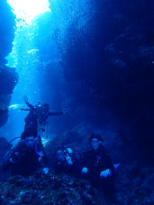 沖縄　慶良間　慶良間諸島　ダイビング　ボートダイビング　ファンダイビング　自社船　体験ダイビング