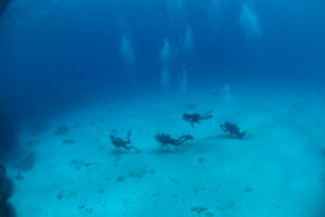 沖縄　慶良間　慶良間諸島　ダイビング　ボートダイビング　ファンダイビング　自社船　