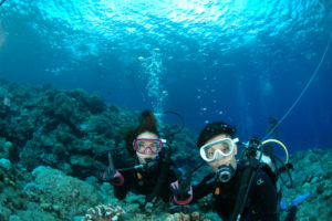 沖縄　慶良間　慶良間諸島　ダイビング　ボートダイビング　ファンダイビング　自社船　　体験ダイビング