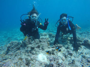 沖縄　慶良間　慶良間諸島　ダイビング　ボートダイビング　ファンダイビング　自社船　体験ダイビング