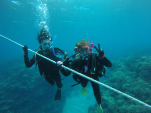 沖縄　慶良間　慶良間諸島　ダイビング　ボートダイビング　ファンダイビング　自社船　体験ダイビング