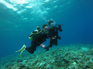 沖縄　慶良間　慶良間諸島　ダイビング　ボートダイビング　ファンダイビング　自社船　体験ダイビング