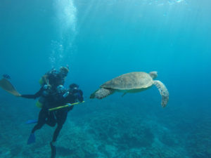 沖縄　ダイビング　慶良間　体験ダイビング　自社船