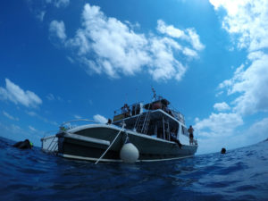 沖縄　慶良間　慶良間諸島　ダイビング　ボートダイビング　ファンダイビング　自社船　体験ダイビング